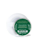 Bath and Body Works Scentportable EUCALYPTUS SPEARMINT Car Fragrance Refill 6 Ml