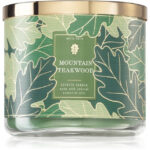 Bath & Body Works Mountain Teakwood Scented Candle 411 G