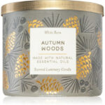 Bath & Body Works Autumn Woods Scented Candle 411 G
