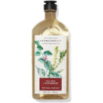 Bath & Body Works Aromatherapy Tea Tree + Peppermint Body Wash + Foam Bath set of 2