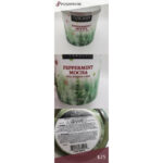 TUSCANY Pepprtmint Mocha Jar Candle