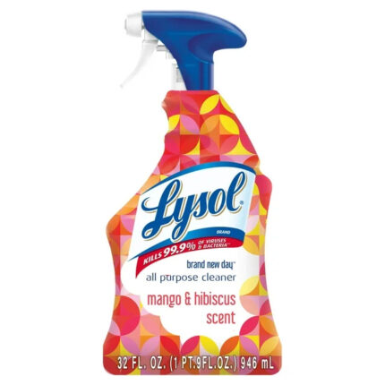 Lysol Brand New Day All Purpose Cleaner, Mango & Hibiscus, Deep Clean